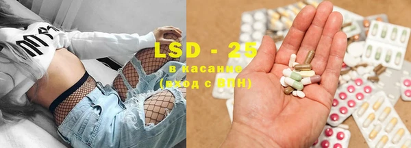 ГАЛЛЮЦИНОГЕННЫЕ ГРИБЫ Бородино