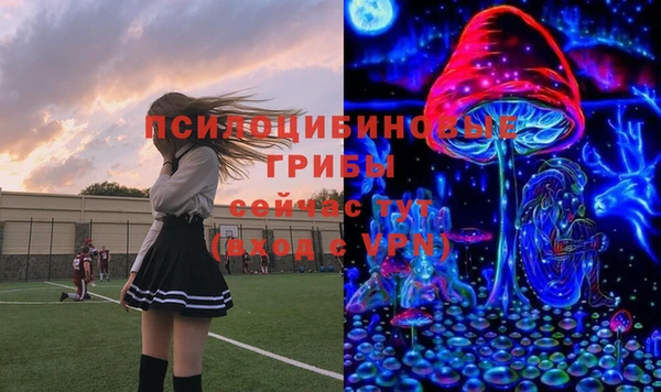 ГАЛЛЮЦИНОГЕННЫЕ ГРИБЫ Бородино