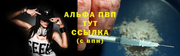 ГАЛЛЮЦИНОГЕННЫЕ ГРИБЫ Бородино