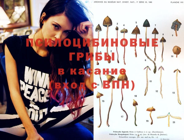 ГАЛЛЮЦИНОГЕННЫЕ ГРИБЫ Бородино