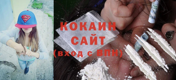 ГАЛЛЮЦИНОГЕННЫЕ ГРИБЫ Бородино